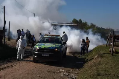 El Aedes se va despidiendo mientras pone sus huevos en “pausa” para volver a estar activo en septiembre