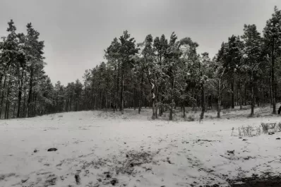 La nieve llegó a Tafí del Valle, mientras sigue bajando la temperatura en Tucumán