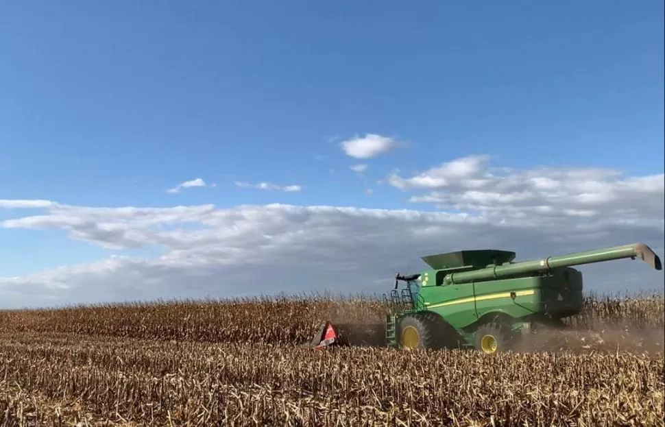 EN PLENA PRODUCCIÓN. Una máquina trabaja en un campo de maíz arrendado por tucumanos en el oeste de Santiago del Estero.  