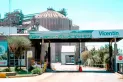 ¿Qué es Vicentin y por qué es considerada clave en el mercado de granos?