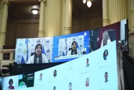 No debí dejarme llevar por el enojo, admitió Mirkin tras sus dichos contra una senadora