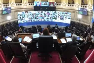 Elías de Pérez se refirió al exabrupto de Mirkin en el Senado: es de mucha bajeza