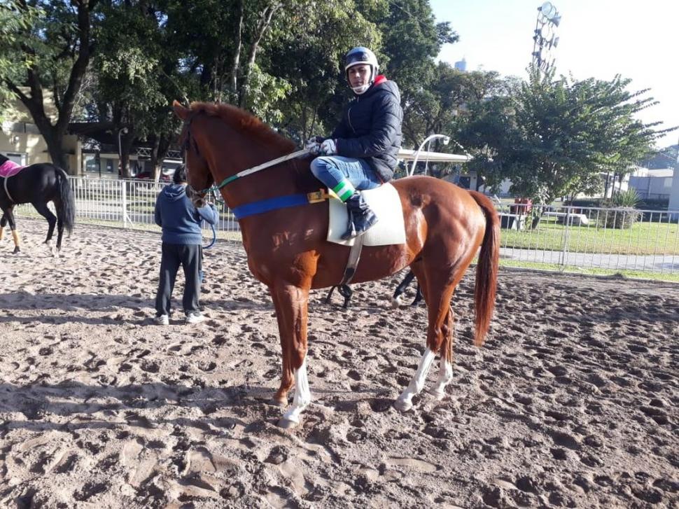 TODO LISTO. Los ejemplares practican de lunes a viernes en la pista principal.  