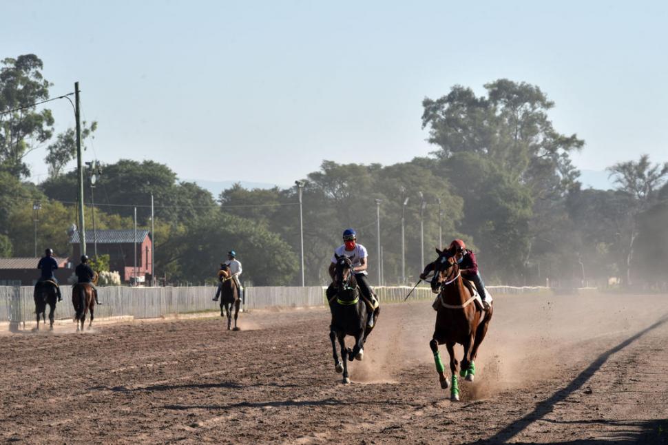 PUESTA A PUNTO EN LA PISTA PRINCIPAL. Los caballos son entrenados para llegar de la mejor forma al reinicio de la actividad turfística, que en principio será a mediados de julio. la gaceta / foto de Inés Quinteros Orio