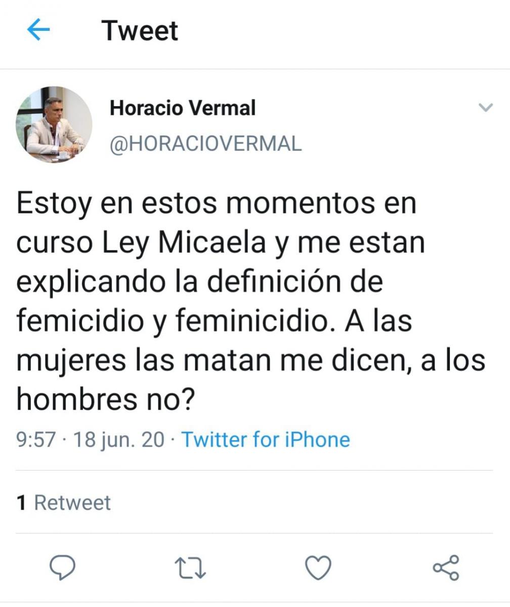 Un legislador, en la capacitación por la Ley Micaela: a las mujeres las matan, ¿a los hombres no?