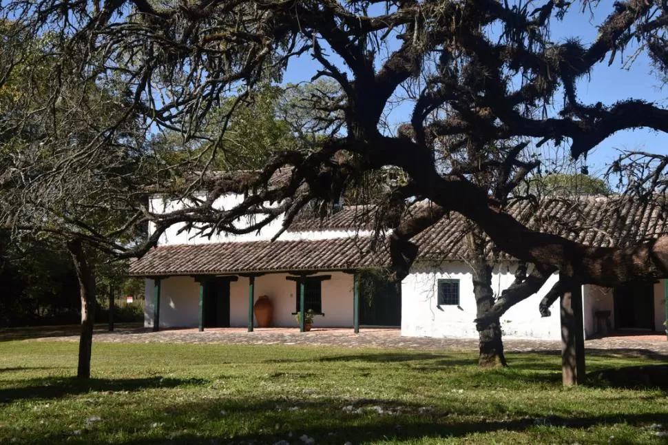  Según los estudios, dos algarrobos fueron testigos de los pasos de Belgrano, porque datan de 300 años.