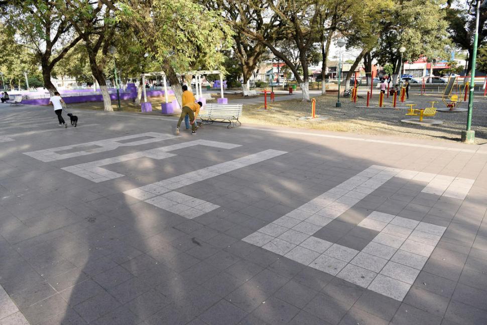  PLAZA BELGRANO (BANDA DEL RÍO SALÍ). Detalle en la caminería.