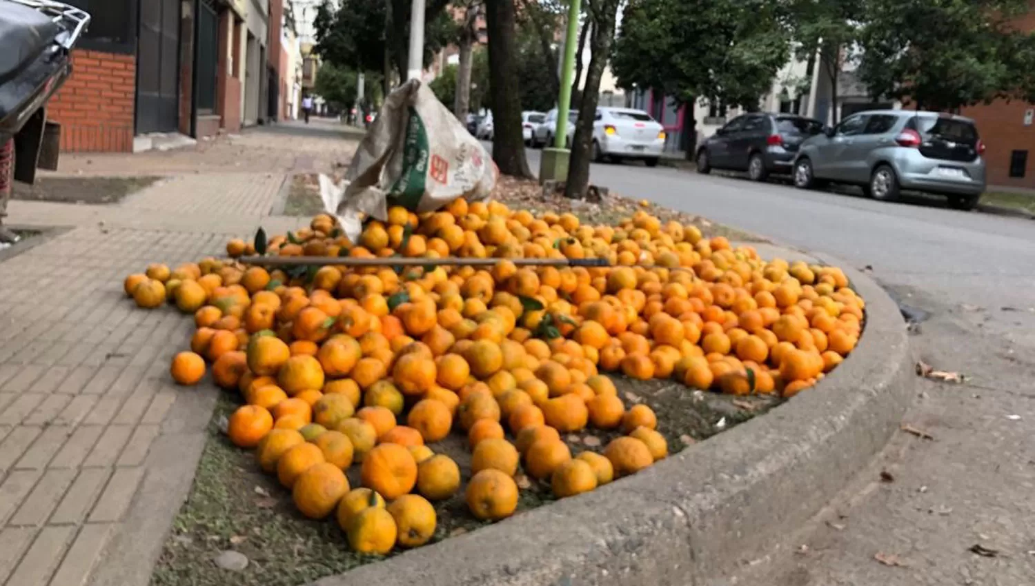 Naranjas