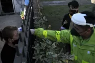 ¿Qué se podrá hacer en AMBA?