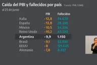 ¿Qué datos usó Alberto Fernández para minimizar el impacto económico de la cuarentena?