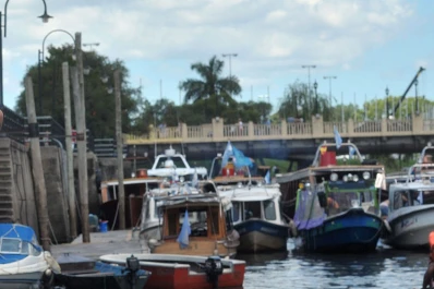 ¿Cuáles son los 35 distritos del AMBA que entran en una etapa de cuarentena estricta?