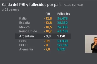 ¿Qué datos usó Alberto Fernández para minimizar el impacto económico de la cuarentena?