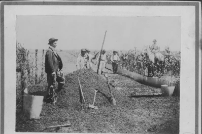 Hace casi 130 años que el Estado viene combatiendo a los acridios