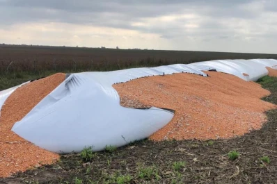 Reporte Rural: la mano política tras los ataques a silobolsas