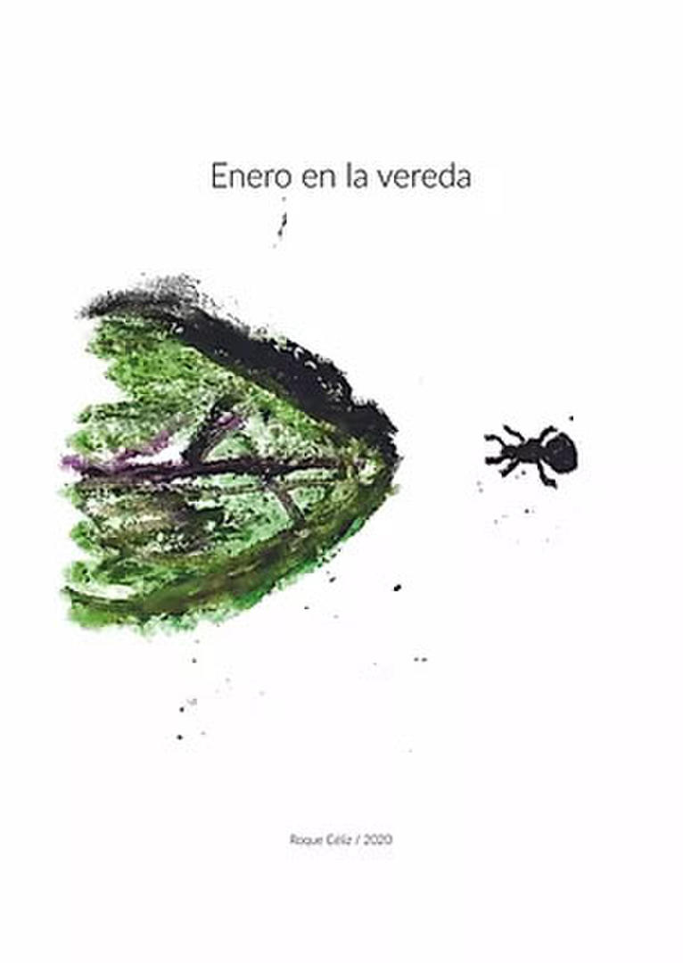 Pedazos de Tucumán hechos canción