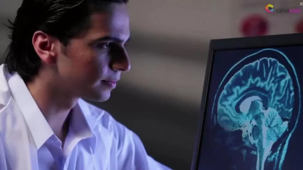 REVELACIÓN. El descubrimiento clave se produjo en la Mayo Clinic de EEUU. 