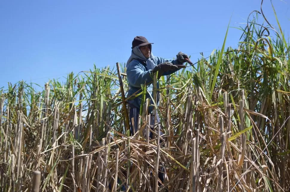 “CASA, EL ABRASAR EL CERCO”. La videoperformance tuvo una producción de más de dos meses.  