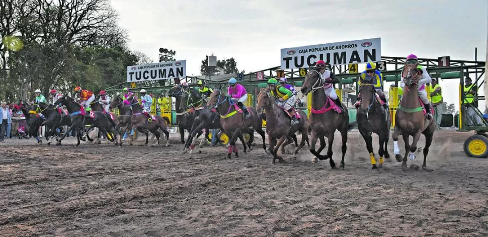 ENTRENAMIENTO. Los ejemplares ejercitan todos los días en la pista principal del hipódromo tucumano con miras al reinicio de la actividad. la gaceta / foto de juan pablo sánchez noli