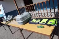 Un cachorro podría ayudar a esclarecer el crimen