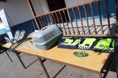 Un cachorro podría ayudar a esclarecer el crimen