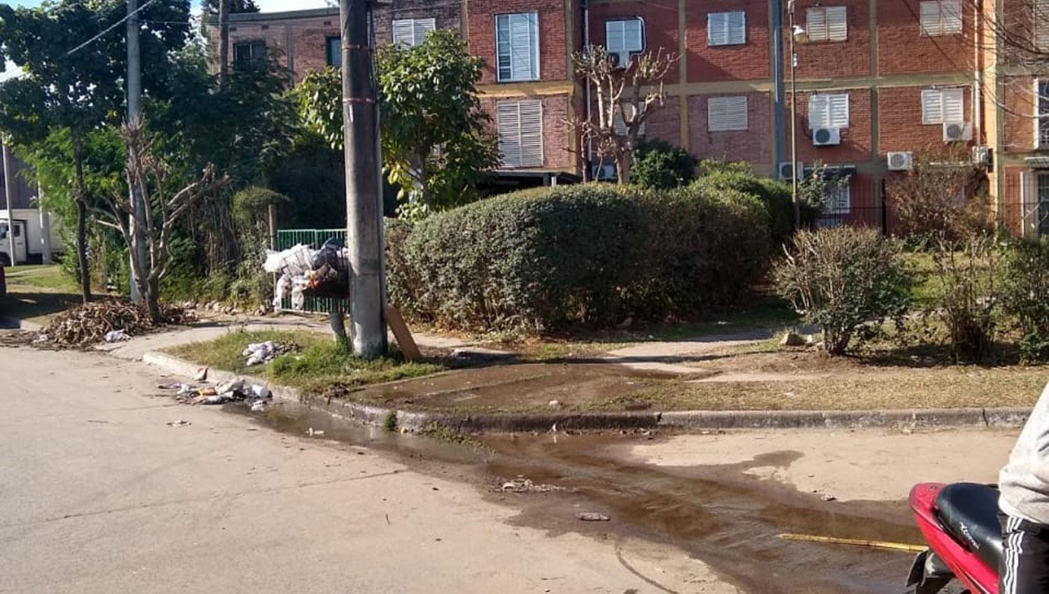 Susto por caída de postes en barrio San Francisco