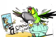 Las mascotas que fueron protagonistas de casos policiales en Tucumán