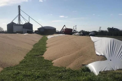 Inseguridad en el campo: el agro celebra que se quiera crear la figura de “vandalismo rural”