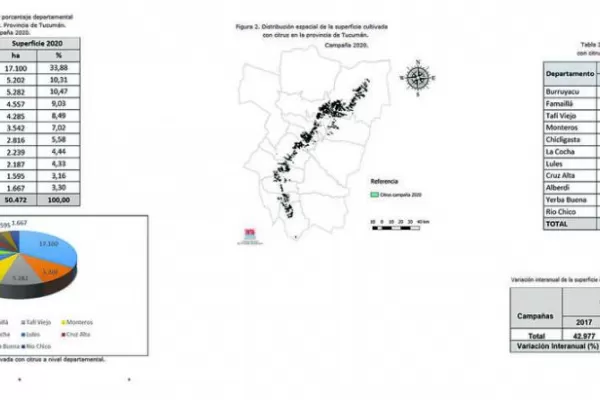 Estudio del INTA Famaillá: la superficie plantada con citrus en Tucumán creció 1.344 ha, respecto de la campaña anterior