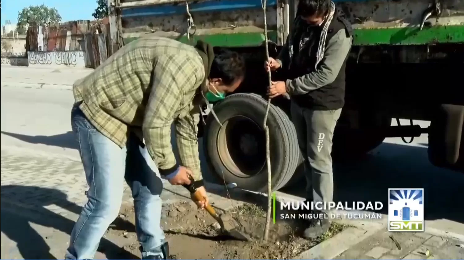 Reforestación: la Municipalidad plantará más de 1.500 árboles en las márgenes del río Salí