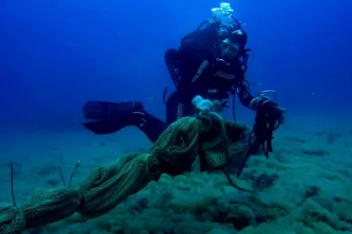 La vida marina florece en el Mediterráneo