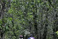 Recuperaron cinco bicicletas que habían sido robadas en los últimos días