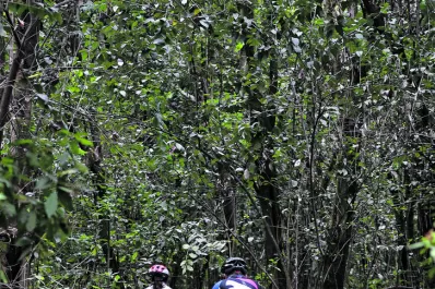 Recuperaron cinco bicicletas que habían sido robadas en los últimos días