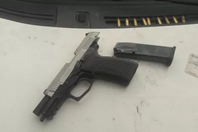 El Mollar: acribilló a una vaca que estaba a la vera de la ruta y huyó