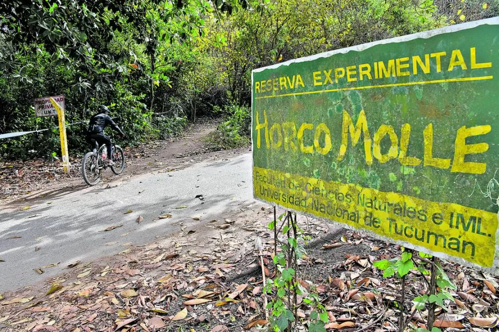 SENDEROS. Los caminos de Horco Molle son algunos de los lugares más elegidos por los deportistas. la gaceta / fotos de josé nuno