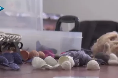 Una artesana fabrica escarapelas con capullos de seda