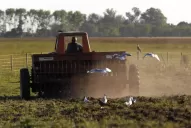 La Mesa de Enlace pidió una reunión con Fernández para evitar un nuevo conflicto con el campo