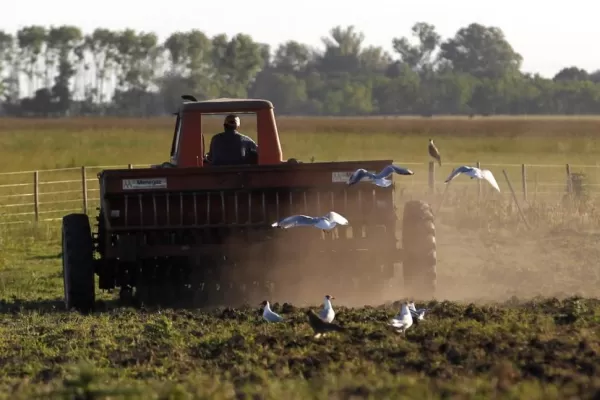 Guía práctica para denunciar los delitos en el campo