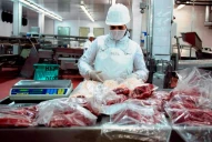 Carne vacuna: se vendió casi el 95% de la “Cuota Hilton”