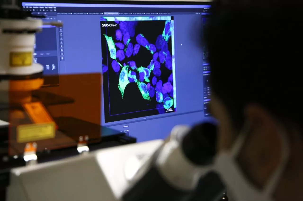 EN LABORATORIO. Científicos tucumanos investigan el covid-19. Foto: Ministerio de Salud