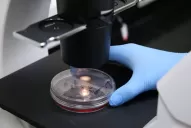 Coronavirus: un tucumano que está en Salta dio positivo y su familia fue aislada