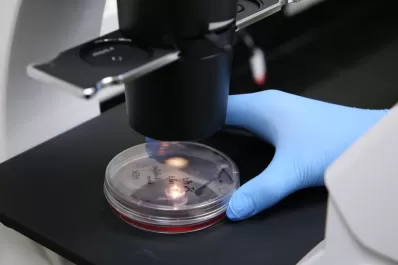 Coronavirus: un tucumano que está en Salta dio positivo y su familia fue aislada