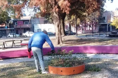 Parque El Provincial: plantan petunias y podan las rosas