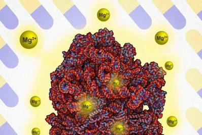 Microbiología: hallan una bacteria que se alimenta de manganeso