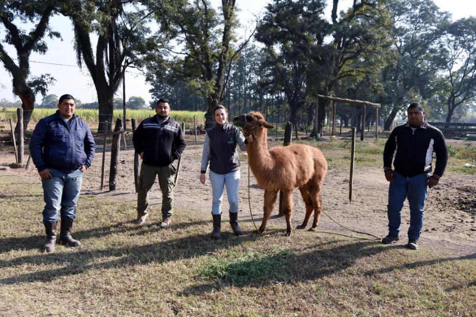 BIEN CUIDADO. La ingeniera Ana Díaz y el equipo de cuidadores junto a Lolo, que nació en marzo de 2018. la gaceta / fotos de Analía Jaramillo