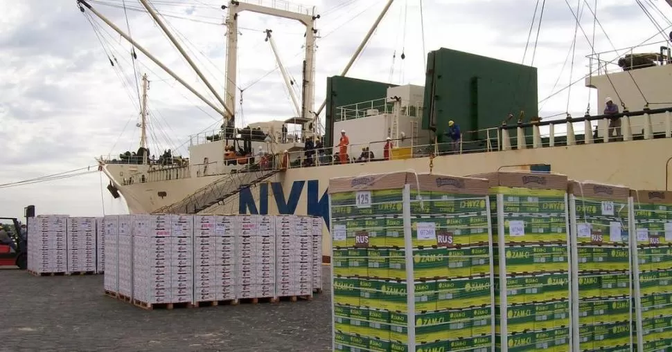 CERRADO. Senasa y Acnoa decidieron suspender durante el resto de la campaña los envíos de fruta fresca a la UE.  