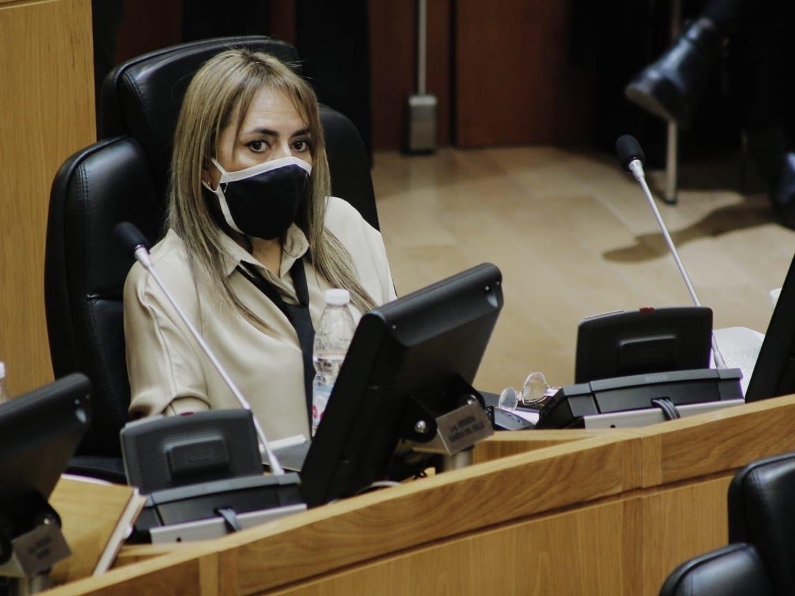 EN SESIÓN. Sandra Orquera, vicepresidenta segunda del cuerpo colegiado. Foto: Prensa HLT