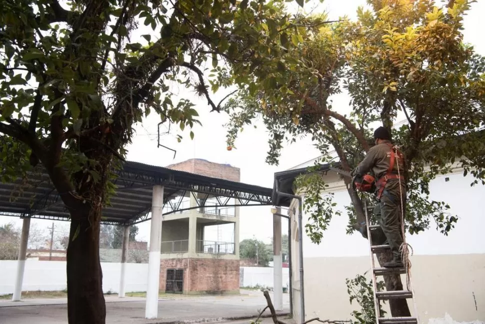  la gaceta / fotos de diego araoz  