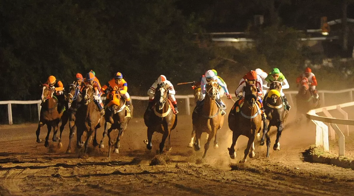 A TODA VELOCIDAD. Los ejemplares mostrarán su poderío en la pista principal del hipódromo, cuando el jueves se dispute la primera reunión en tiempos de pandemia. la gaceta / foto de héctor peralta