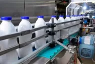 La industria lechera enfrenta una de las crisis más severas del sector