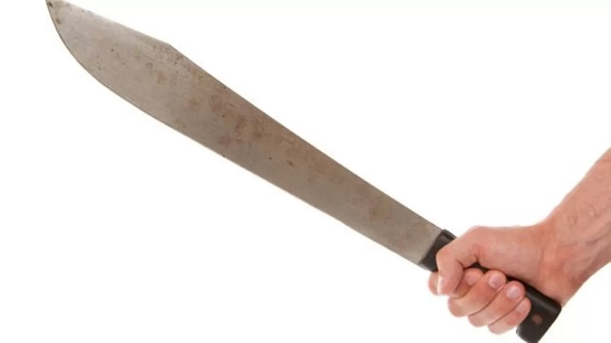 IMAGEN ILUSTRATIVA / TOMADA DE MISIONES ONLINE